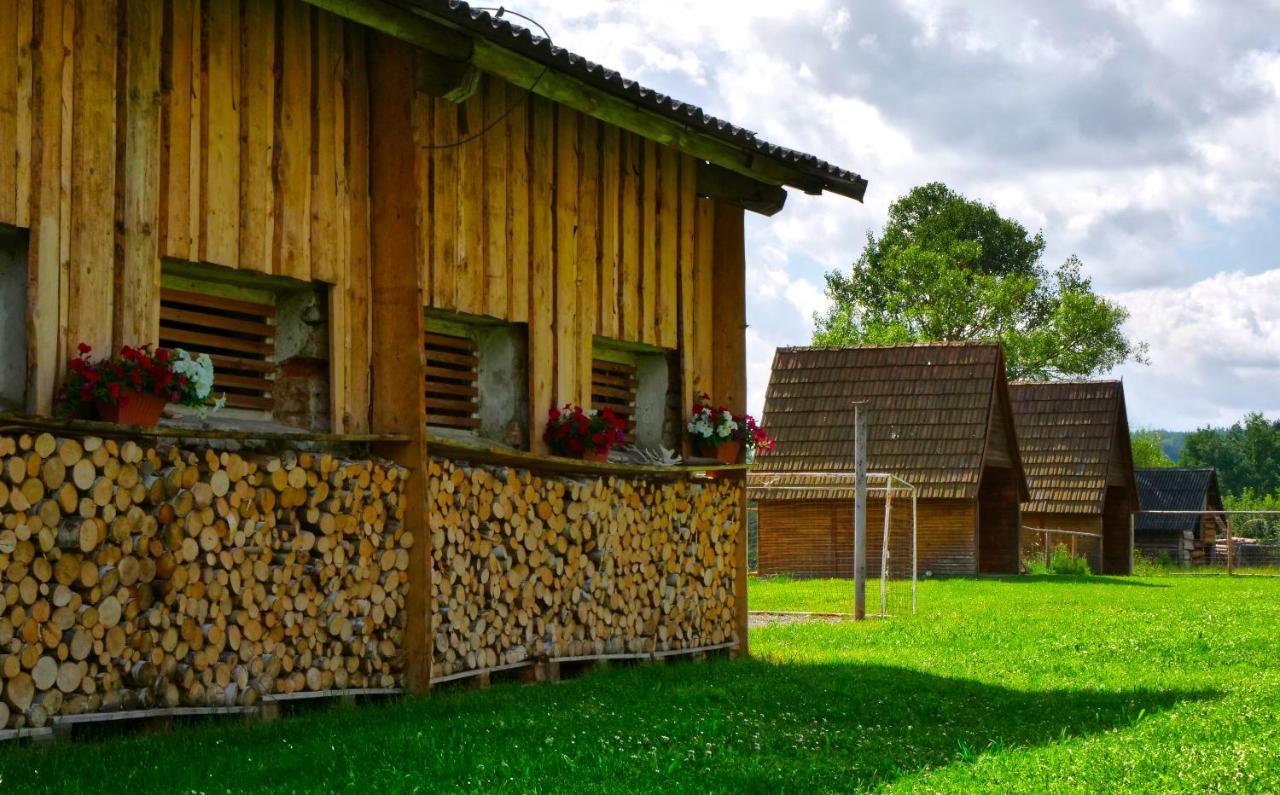 Chalupa Jenin Dolní Dvořiště Exterior foto